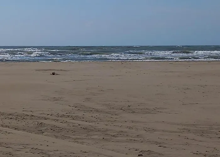 Apartment Hameau Du Puech, Rez-de-jardin Avec Parking Et Clim Agde